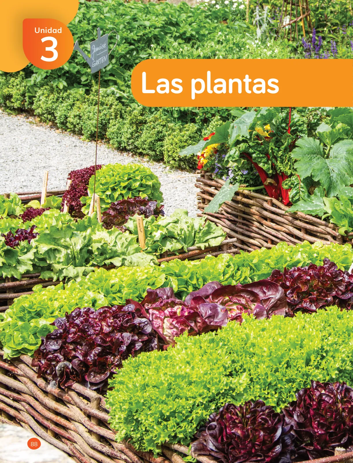Miniatura página 90 de Ciencias Naturales – Tercero Básico | Texto del Estudiante MINEDUC – Descargar PDF · 2024