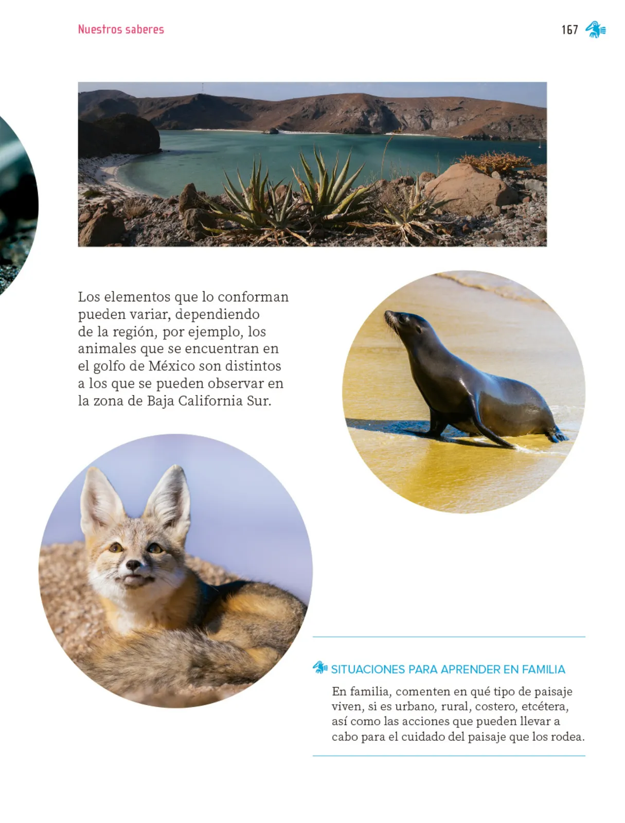 Miniatura página 168 de Nuestros saberes: Libro para alumnos, maestros y familia.   Libro de Educación Primaria Grado 1°  Ciclo Escolar 2025 - 2026