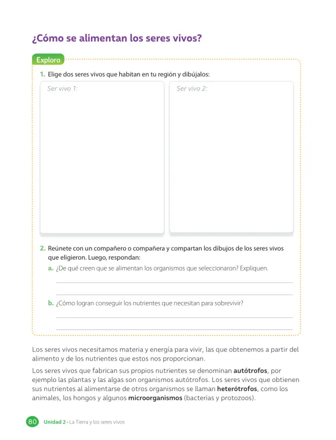 Página 82 de Libro de Ciencias Naturales – Quinto Básico | Texto del Estudiante MINEDUC – Descargar PDF · 2024
