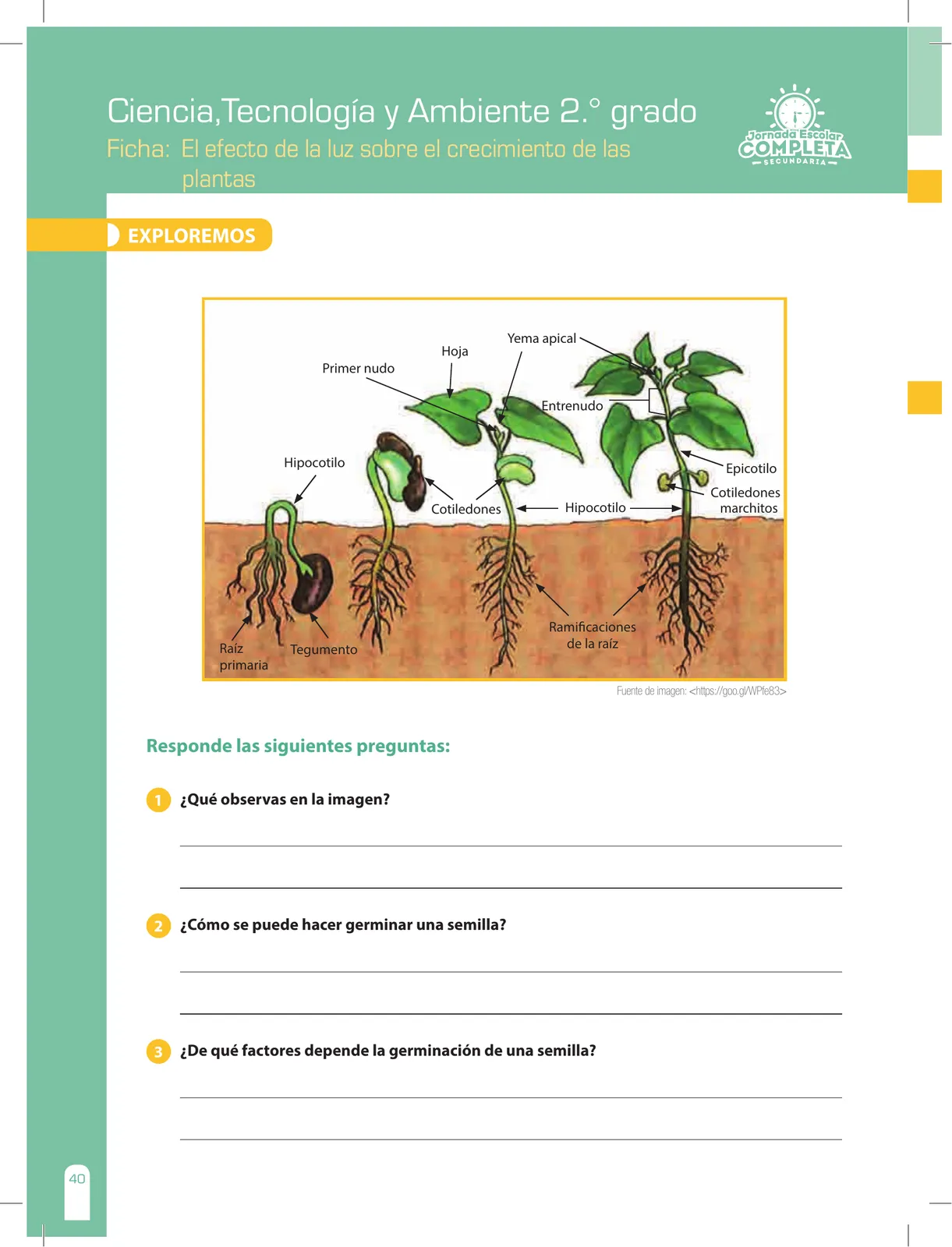 Página 40 de Ciencia, Tecnología y Ambiente 2 : cuaderno de reforzamiento pedagógico - JEC · 2016