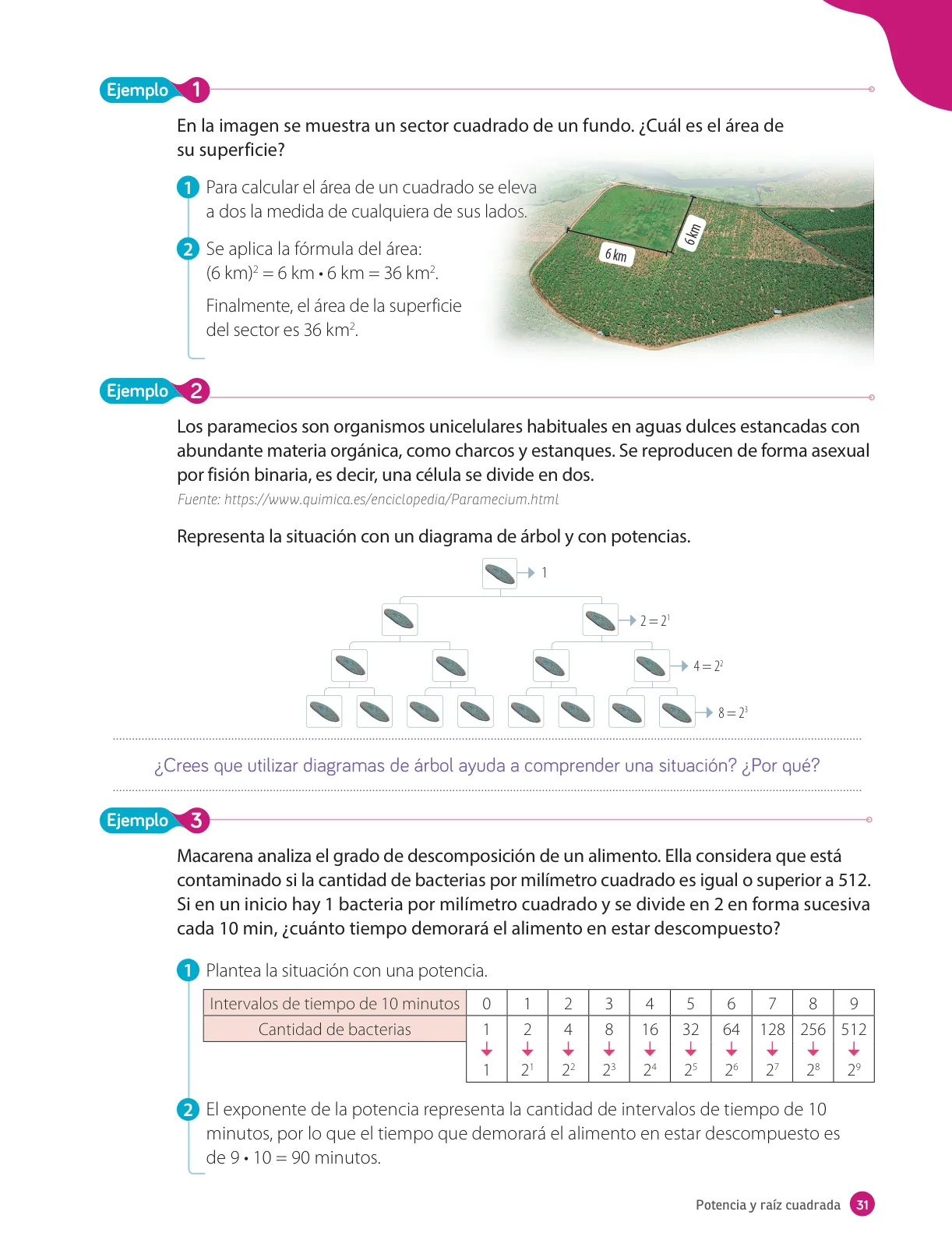 Página 33 de Matemática – Octavo Básico | Texto del Estudiante MINEDUC – Descargar PDF · 2024