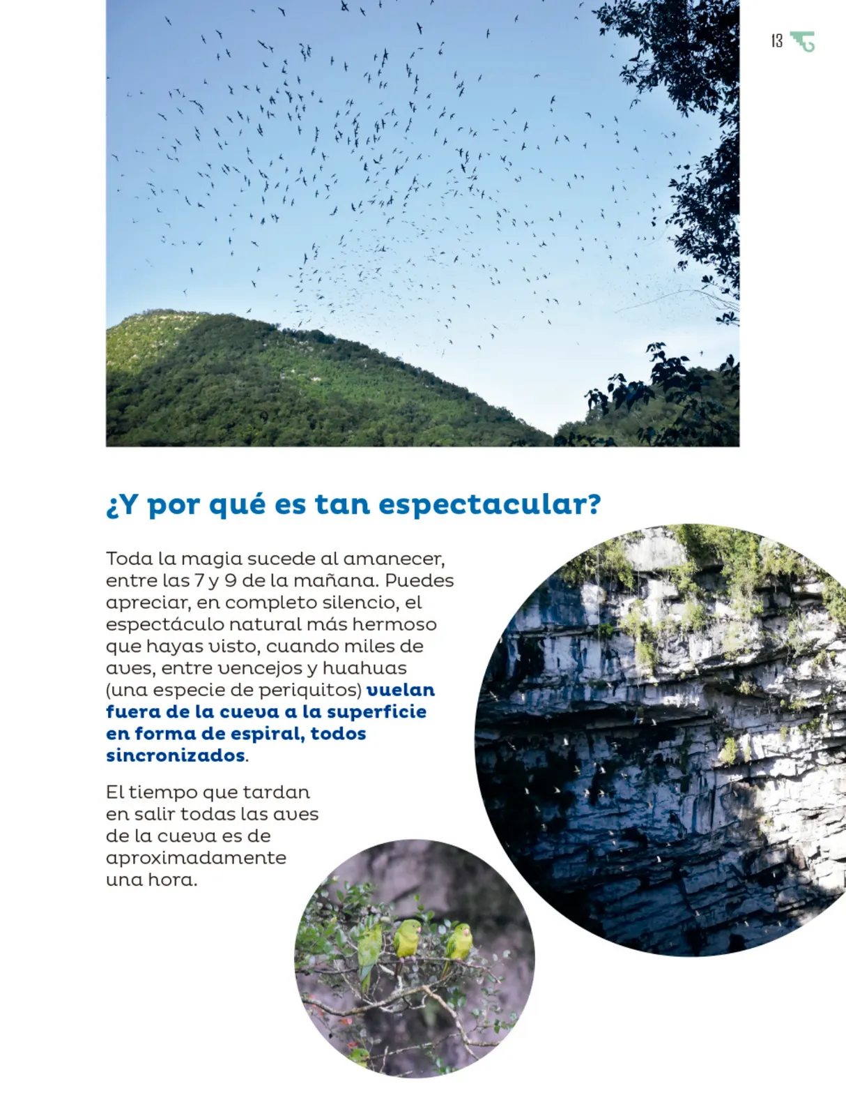 Página 14 de Múltiples lenguajes. Libro de Educación Primaria Grado 5° Ciclo Escolar 2025 - 2026