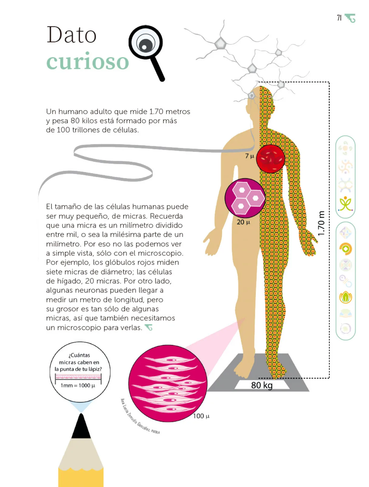Página 72 de Múltiples lenguajes. Libro de Educación Primaria Grado 6° Ciclo Escolar 2025 - 2026