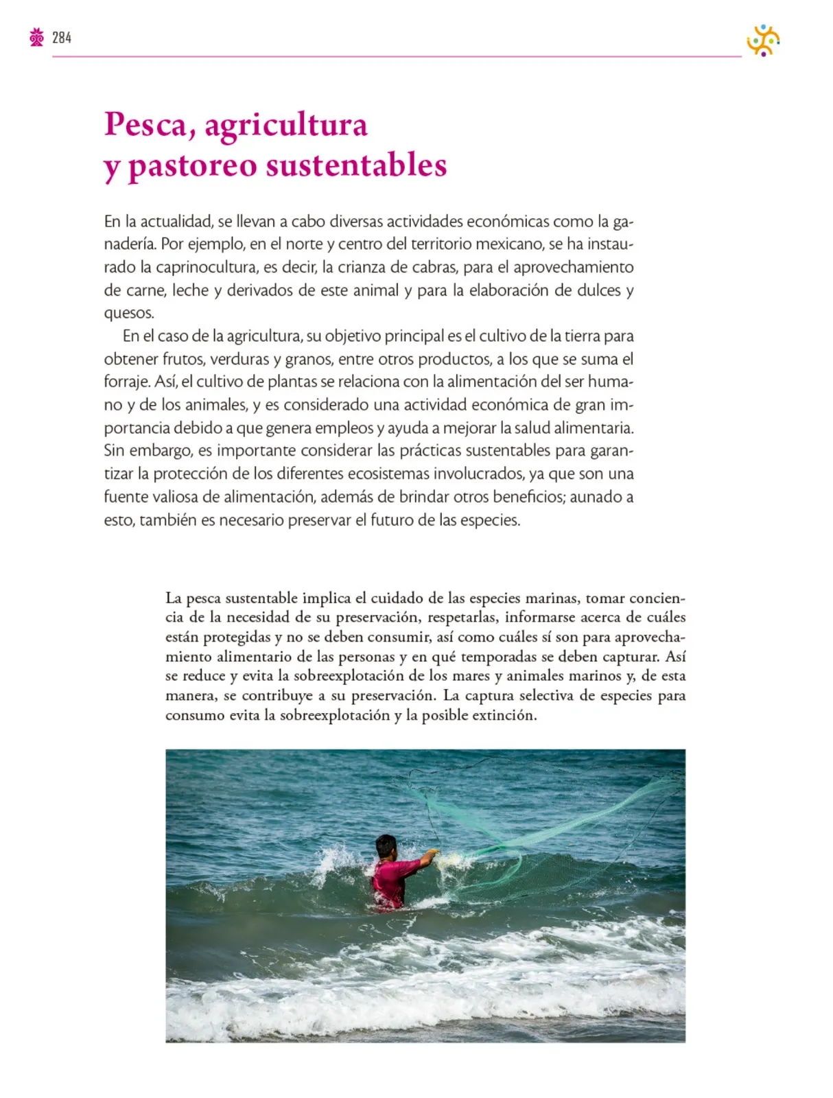 Miniatura página 285 de Colección Ximhai. Saberes y pensamiento científico.   Libro de Educación Secundaria Grado 1°  Ciclo Escolar 2025 - 2026