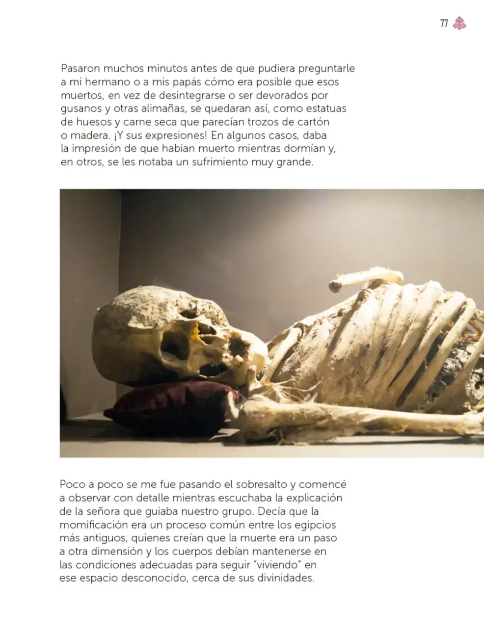 Página 78