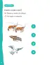Miniatura página 9 de Lenguaje y Comunicación – Primero Básico | Texto del Estudiante MINEDUC – Descargar PDF · 2024