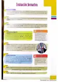 Miniatura página 33 de Lengua y Literatura 3° · 2025