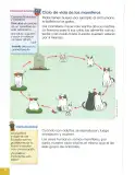 Miniatura página 25 de Ciencias Naturales 2° · Egb 2 Ciencias Naturales 2025 · 2025