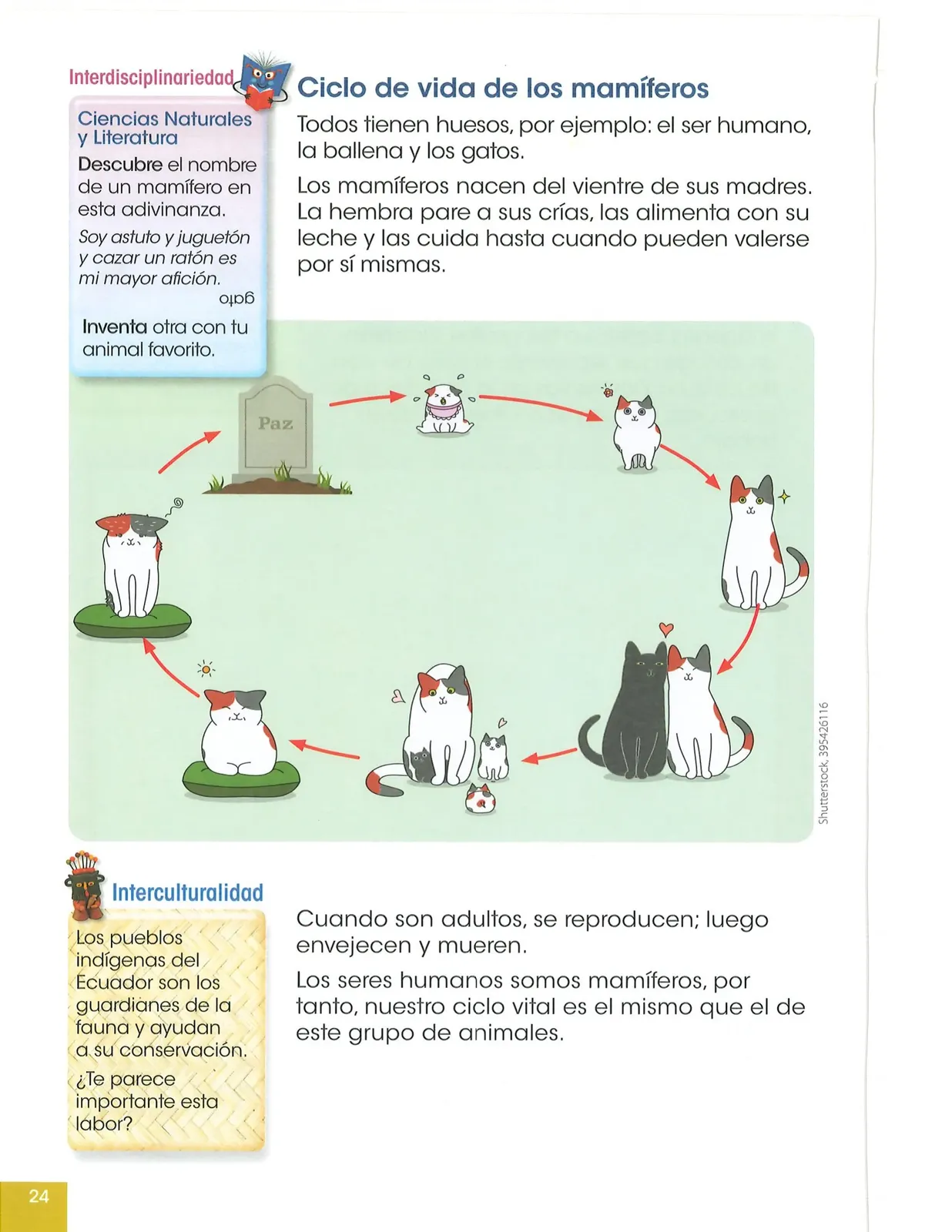 Pág 25