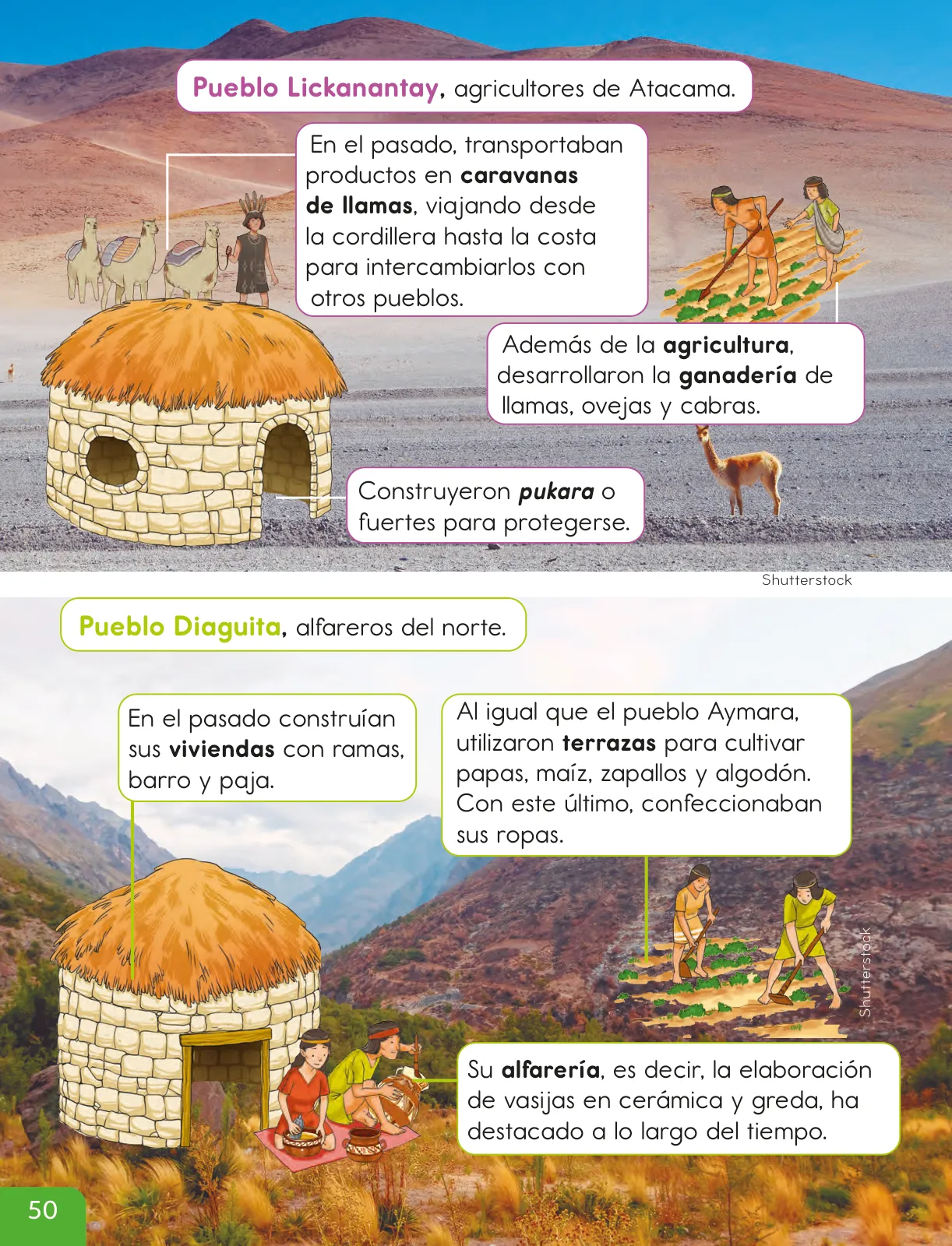 Miniatura página 52 de Historia, Geografía y Ciencias Sociales – Segundo Básico – Texto del Estudiante MINEDUC – Descargar PDF · 2024