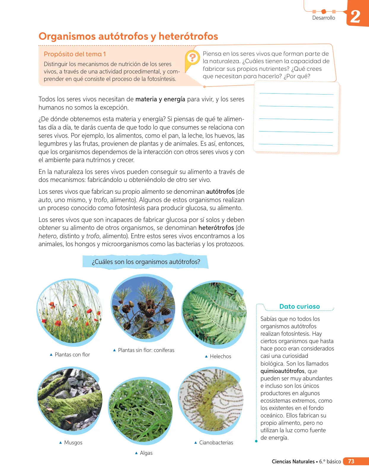 Miniatura página 192 de Libro de Ciencias Naturales – Quinto Básico | Texto del Estudiante MINEDUC – Descargar PDF · 2024