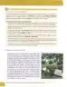 Miniatura página 116 de Lengua Y Literatura 8° · Egb 8 Lengua Y Literatura 2025 · 2025