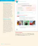 Miniatura página 156 de Lenguaje y Comunicación – Segundo Básico – Texto del Estudiante MINEDUC – Descargar PDF · 2024