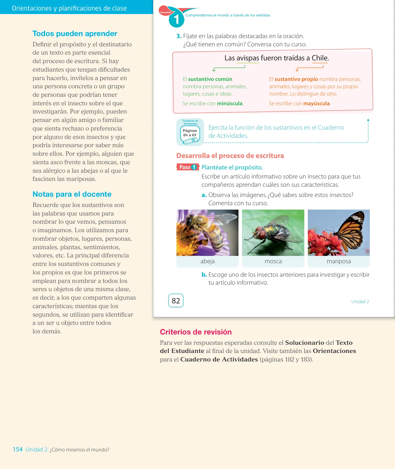 Miniatura página 156 de Lenguaje y Comunicación – Segundo Básico – Texto del Estudiante MINEDUC – Descargar PDF · 2024