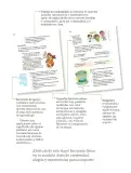 Miniatura página 7 de Proyectos de Aula.   Libro de Educación Primaria Grado 2°  Ciclo Escolar 2025 - 2026