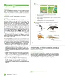 Miniatura página 56 de Sumo Primero – Cuarto Básico | Texto del Estudiante MINEDUC – Descargar PDF · 2024