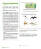 Miniatura página 56 de Sumo Primero – Cuarto Básico | Texto del Estudiante MINEDUC – Descargar PDF · 2024