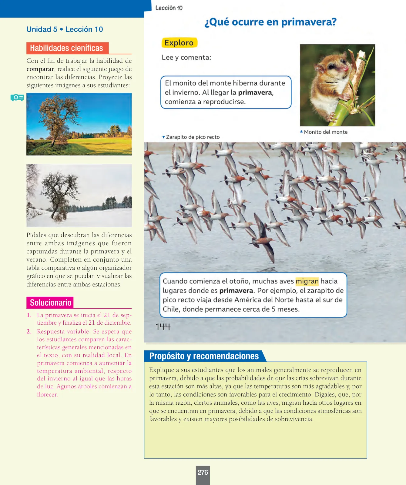 Pág 85