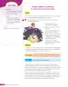 Miniatura página 235 de Lenguaje y Comunicación – Quinto Básico | Texto del Estudiante MINEDUC – Descargar PDF · 2024