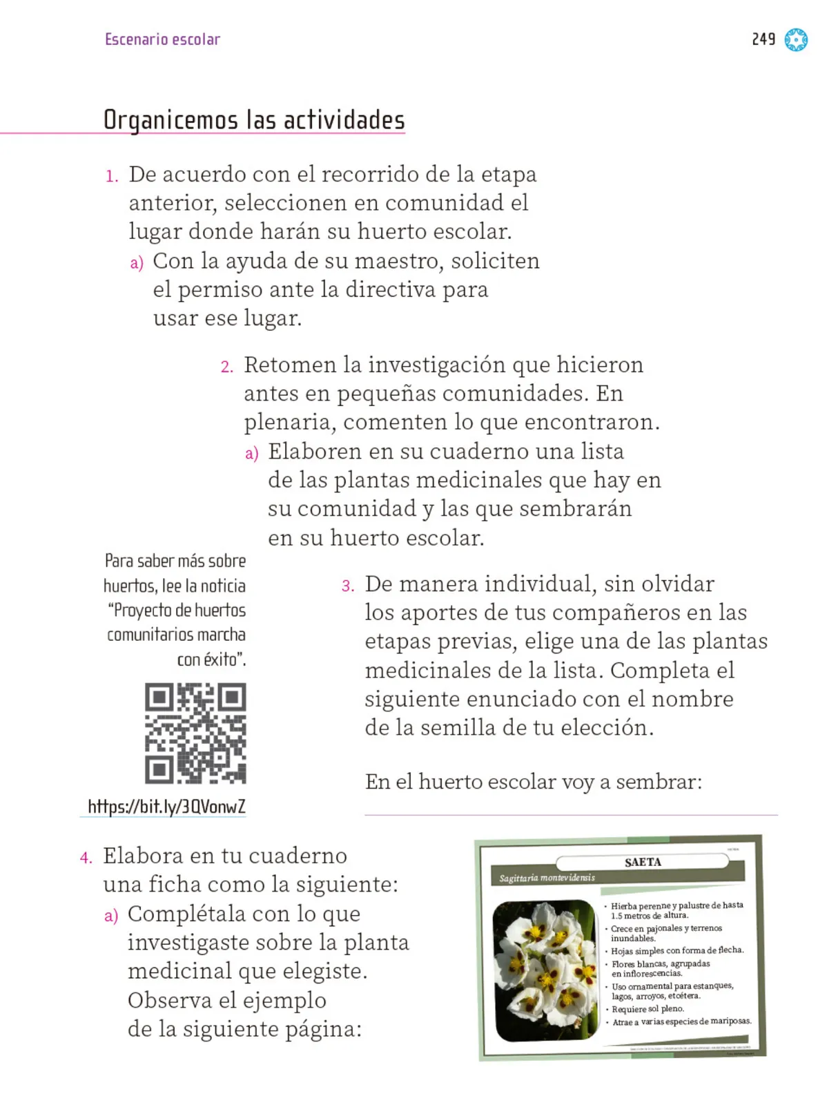 Página 250 de Proyectos Escolares. Libro de Educación Primaria Grado 1° Ciclo Escolar 2025 - 2026
