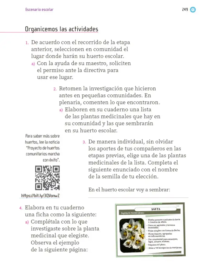 Página 250 de Proyectos Escolares. Libro de Educación Primaria Grado 1° Ciclo Escolar 2025 - 2026