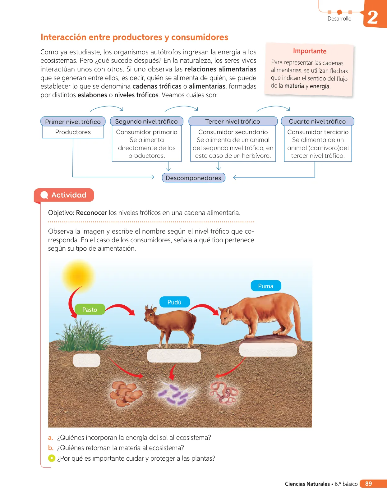 Página 208 de Libro de Ciencias Naturales – Quinto Básico | Texto del Estudiante MINEDUC – Descargar PDF · 2024