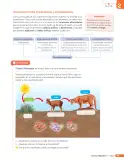 Miniatura página 208 de Libro de Ciencias Naturales – Quinto Básico | Texto del Estudiante MINEDUC – Descargar PDF · 2024