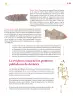 Miniatura página 190 de Colección Ximhai. Ética, naturaleza y sociedades.   Libro de Educación Secundaria Grado 1°  Ciclo Escolar 2025 - 2026