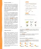 Miniatura página 83 de Lenguaje y Comunicación – Segundo Básico – Texto del Estudiante MINEDUC – Descargar PDF · 2024