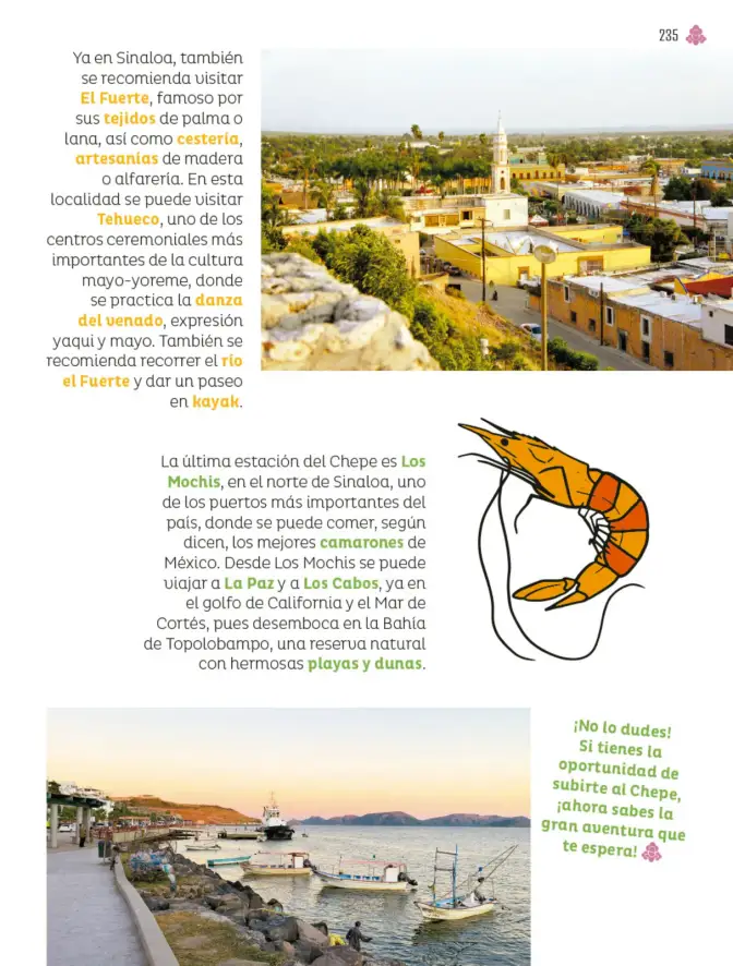 Página 236 de Múltiples lenguajes. Libro de Educación Primaria Grado 4° Ciclo Escolar 2025 - 2026