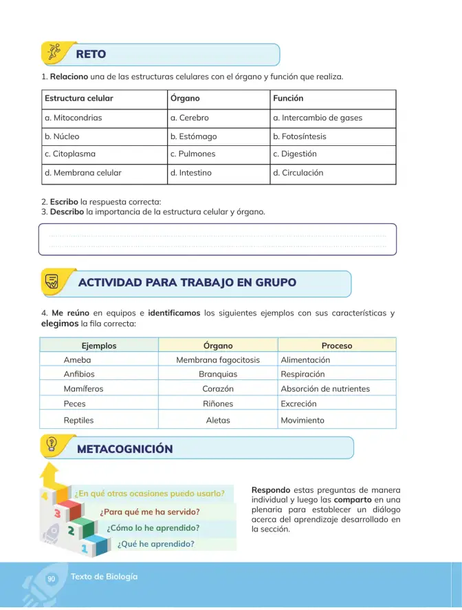 Página 91 de Biologia 3° · Bgu 3 Biologia 2024 · 2024