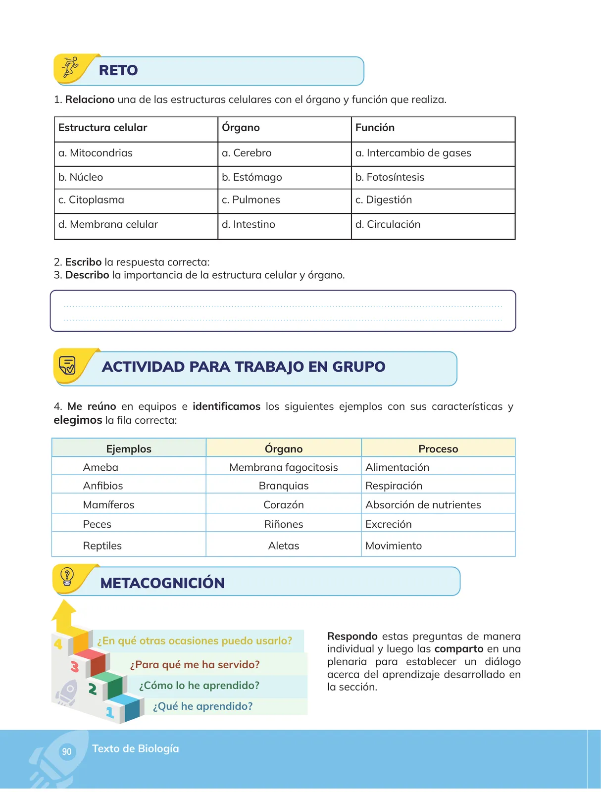 Pág 91