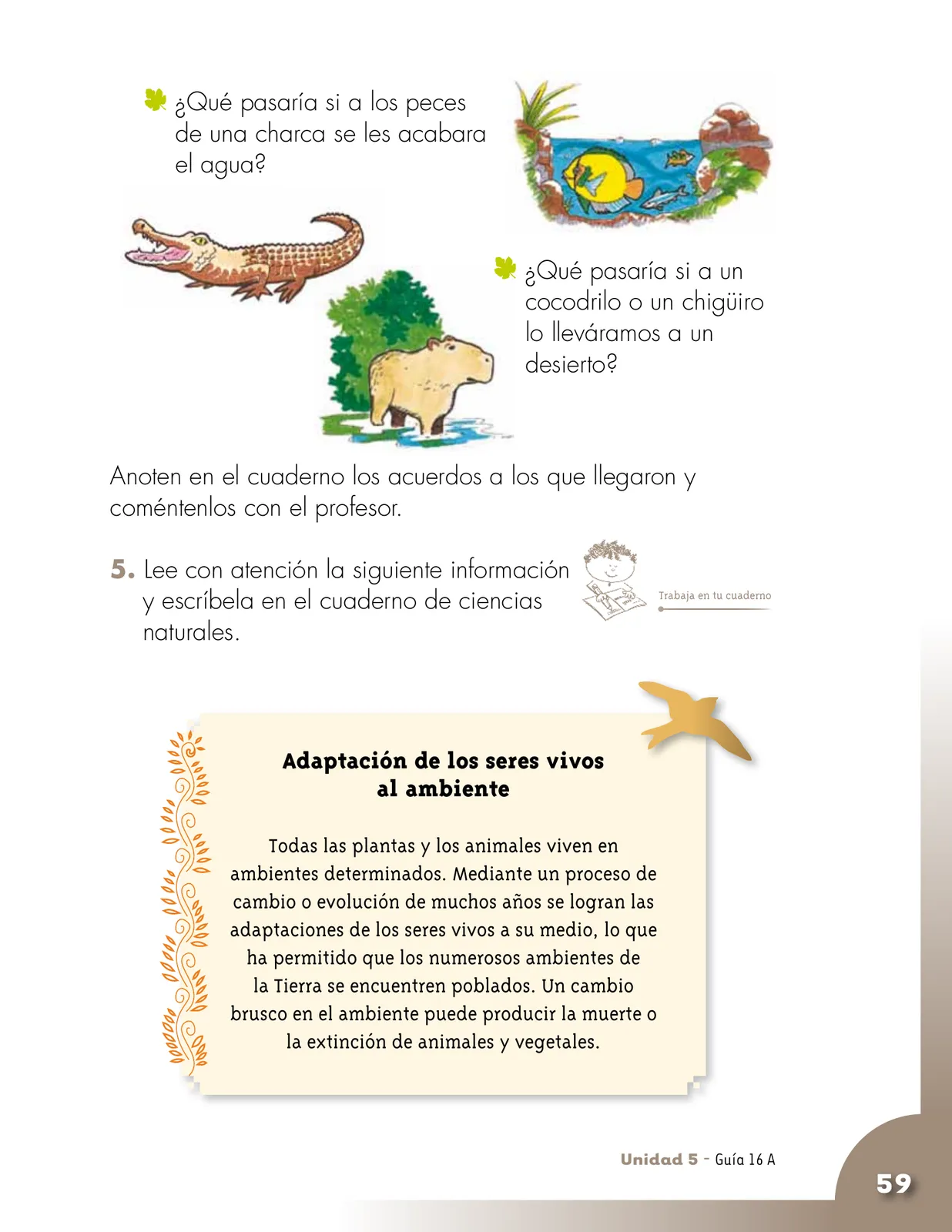 Página 59 de Ciencias Naturales 2° · Cartilla 02