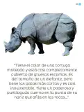 Miniatura página 164 de Múltiples lenguajes.   Libro de Educación Primaria Grado 2°  Ciclo Escolar 2025 - 2026