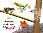 Pág 16