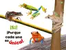 Miniatura página 16 de Múltiples lenguajes.   Libro de Educación Preescolar Grado 1°  Ciclo Escolar 2025 - 2026