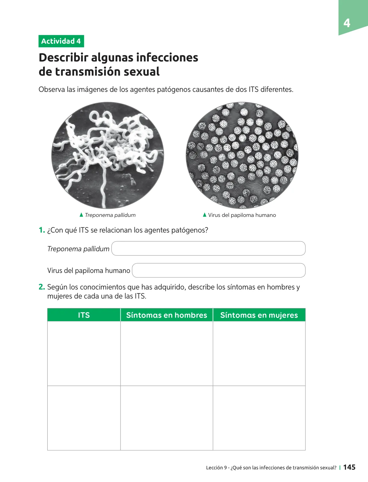 Página 146 de Ciencias Naturales – Séptimo Básico | Texto del Estudiante MINEDUC – Descargar PDF · 2024