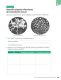 Miniatura página 146 de Ciencias Naturales – Séptimo Básico | Texto del Estudiante MINEDUC – Descargar PDF · 2024