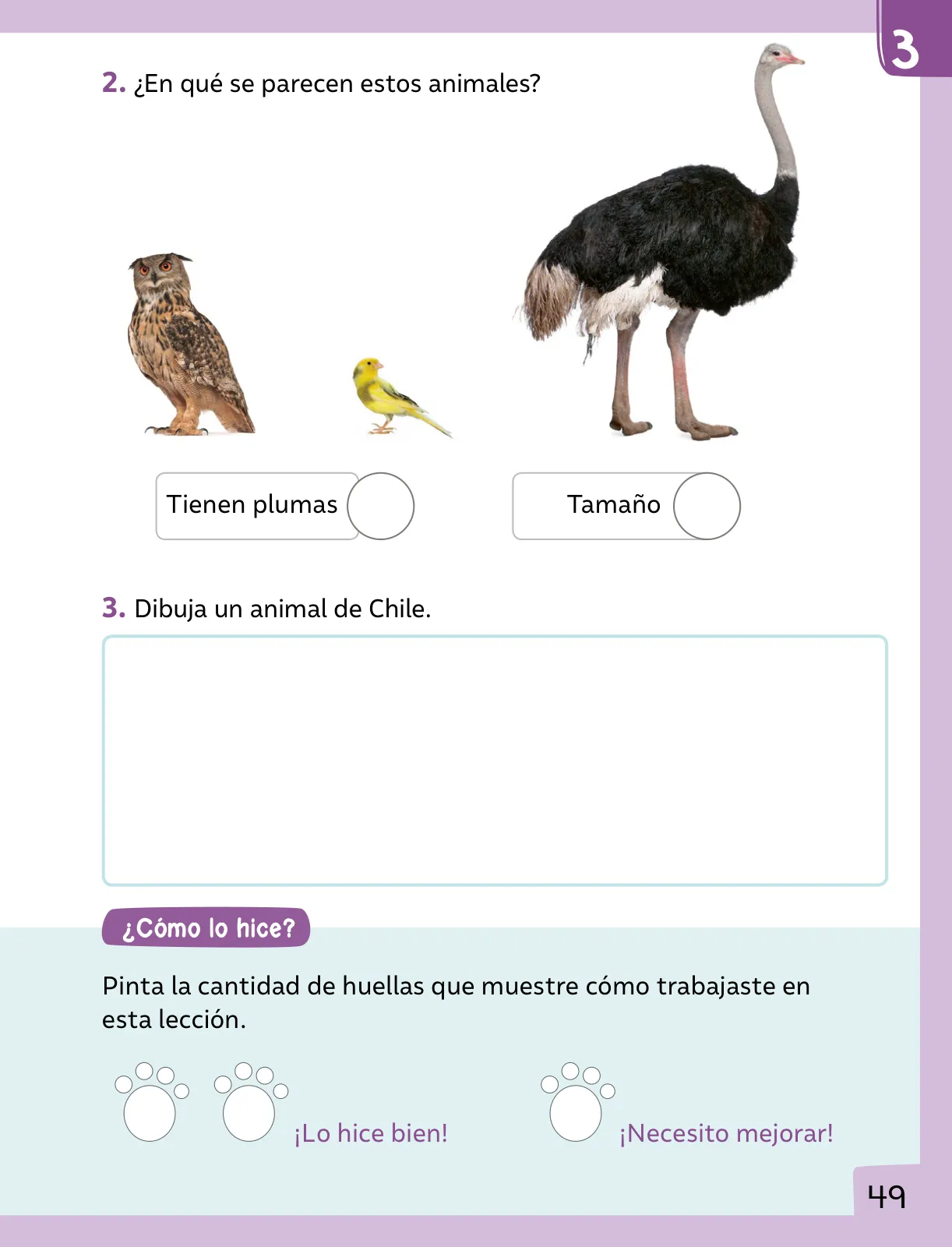 Página 50 de Ciencias Naturales – Primero Básico | Texto del Estudiante (MINEDUC) – Descargar PDF · 2024