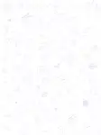Pág 5