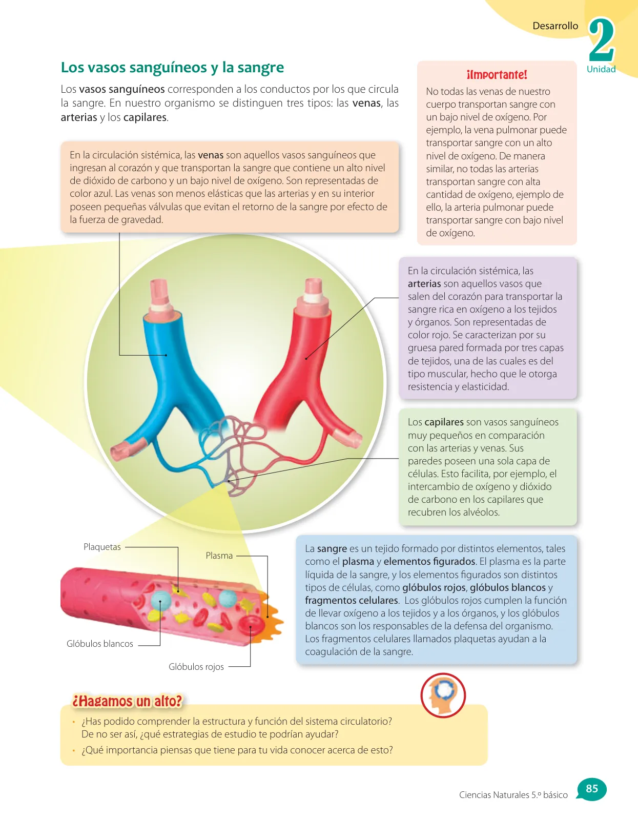 Miniatura página 163 de Libro de Ciencias Naturales – Quinto Básico | Texto del Estudiante MINEDUC – Descargar PDF · 2024