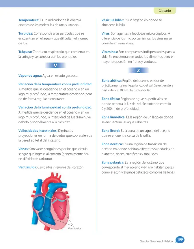 Página 185 de Libro de Ciencias Naturales – Quinto Básico | Texto del Estudiante MINEDUC – Descargar PDF · 2024