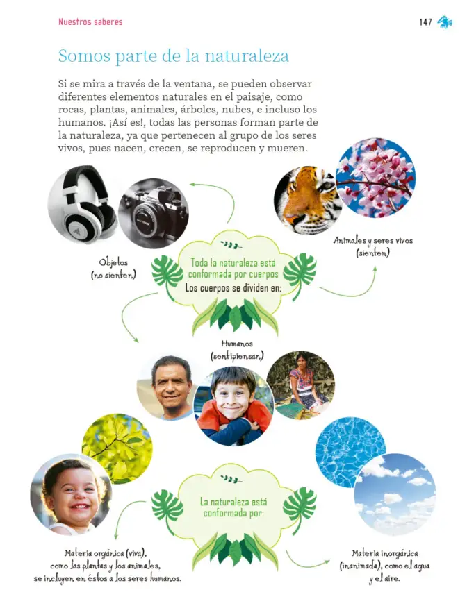 Página 148 de Nuestros saberes: Libro para alumnos, maestros y familia. Libro de Educación Primaria Grado 2° Ciclo Escolar 2025 - 2026