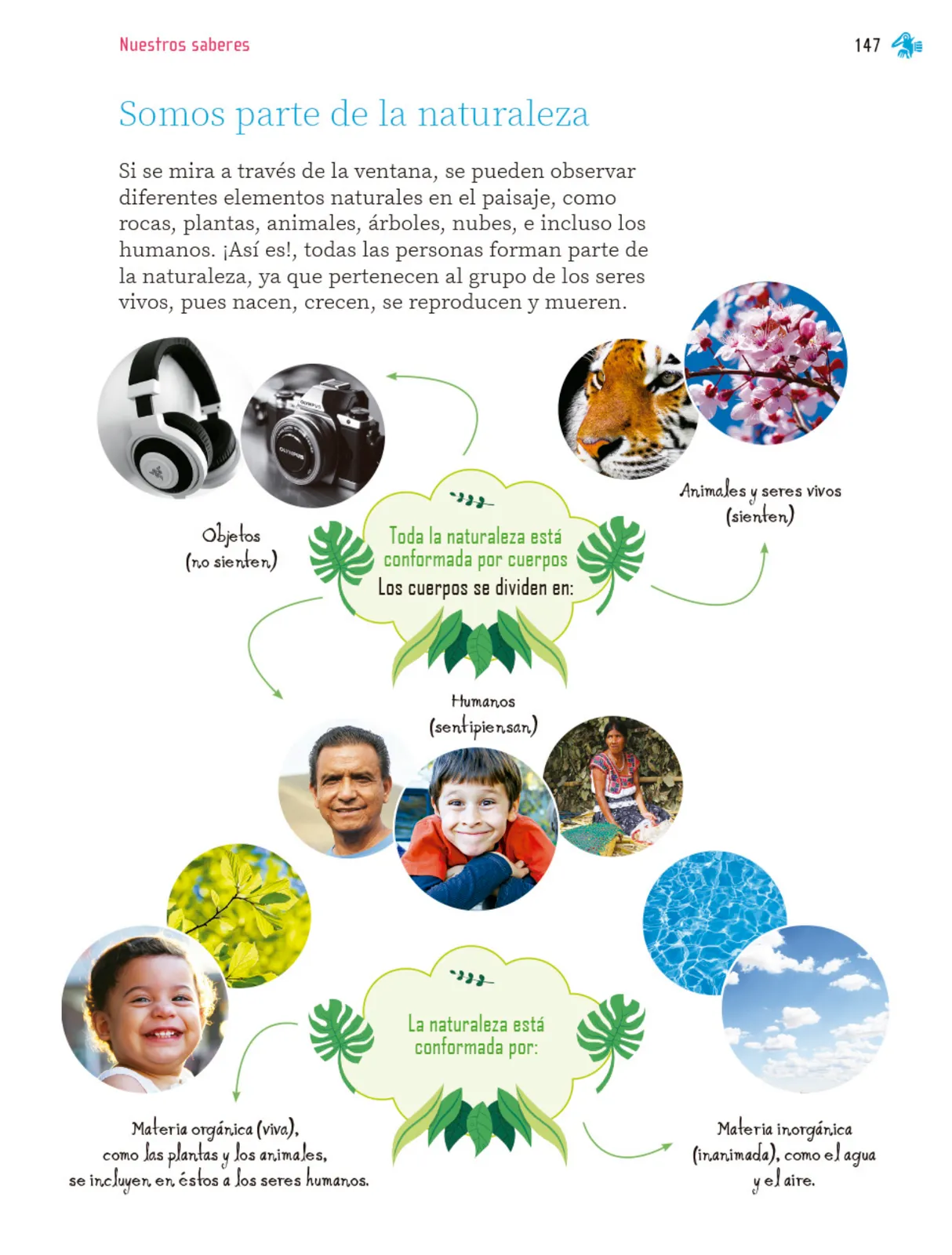 Miniatura página 148 de Nuestros saberes: Libro para alumnos, maestros y familia.   Libro de Educación Primaria Grado 2°  Ciclo Escolar 2025 - 2026