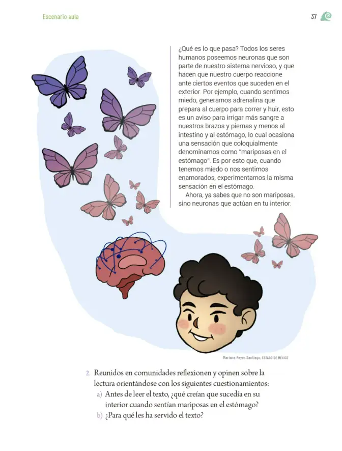 Página 40 de Proyectos de Aula. Libro de Educación Primaria Grado 6° Ciclo Escolar 2025 - 2026