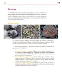 Miniatura página 94 de Colección Sk´asolil. De lo humano y lo comunitario.   Libro de Educación Secundaria Grado 2°  Ciclo Escolar 2025 - 2026