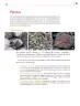 Miniatura página 94 de Colección Sk´asolil. De lo humano y lo comunitario.   Libro de Educación Secundaria Grado 2°  Ciclo Escolar 2025 - 2026