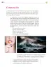Miniatura página 281 de Colección Nanahuatzin. Lenguajes.   Libro de Educación Secundaria Grado 3°  Ciclo Escolar 2025 - 2026
