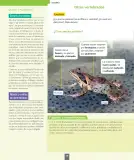 Miniatura página 79 de Ciencias Naturales – Segundo Básico | Texto del Estudiante MINEDUC – Descargar PDF · 2024