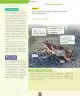 Miniatura página 79 de Ciencias Naturales – Segundo Básico | Texto del Estudiante MINEDUC – Descargar PDF · 2024